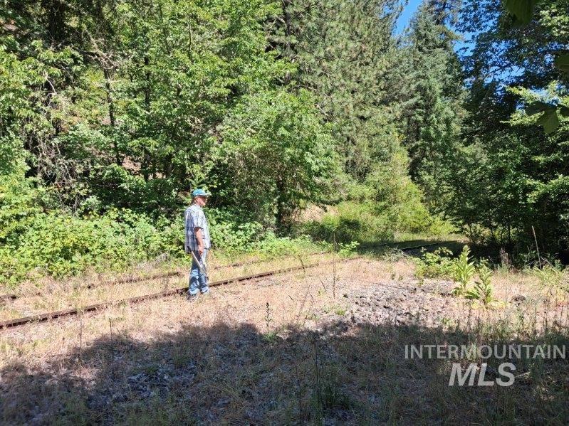 Tbd Ridgewood Drive Kooskia, ID 83539 - Photo 3 of 9