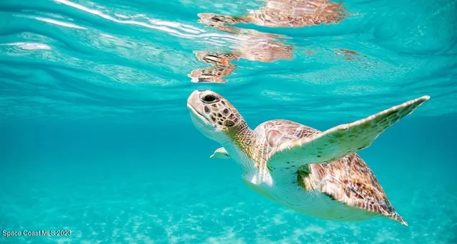 a view of balcony with sunset