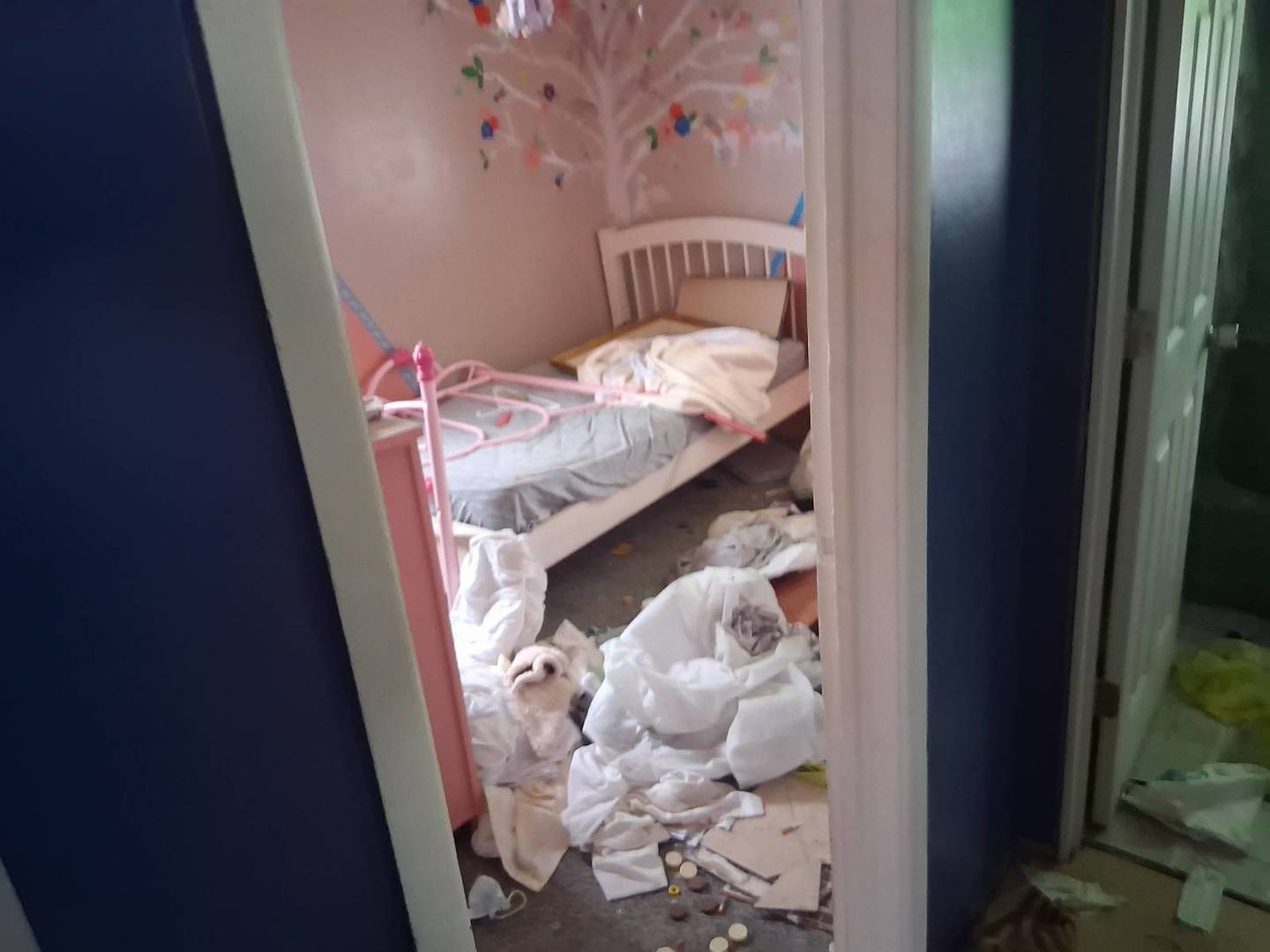 905 North Wesley Street Springfield, IL 62702 - Photo 9 of 11