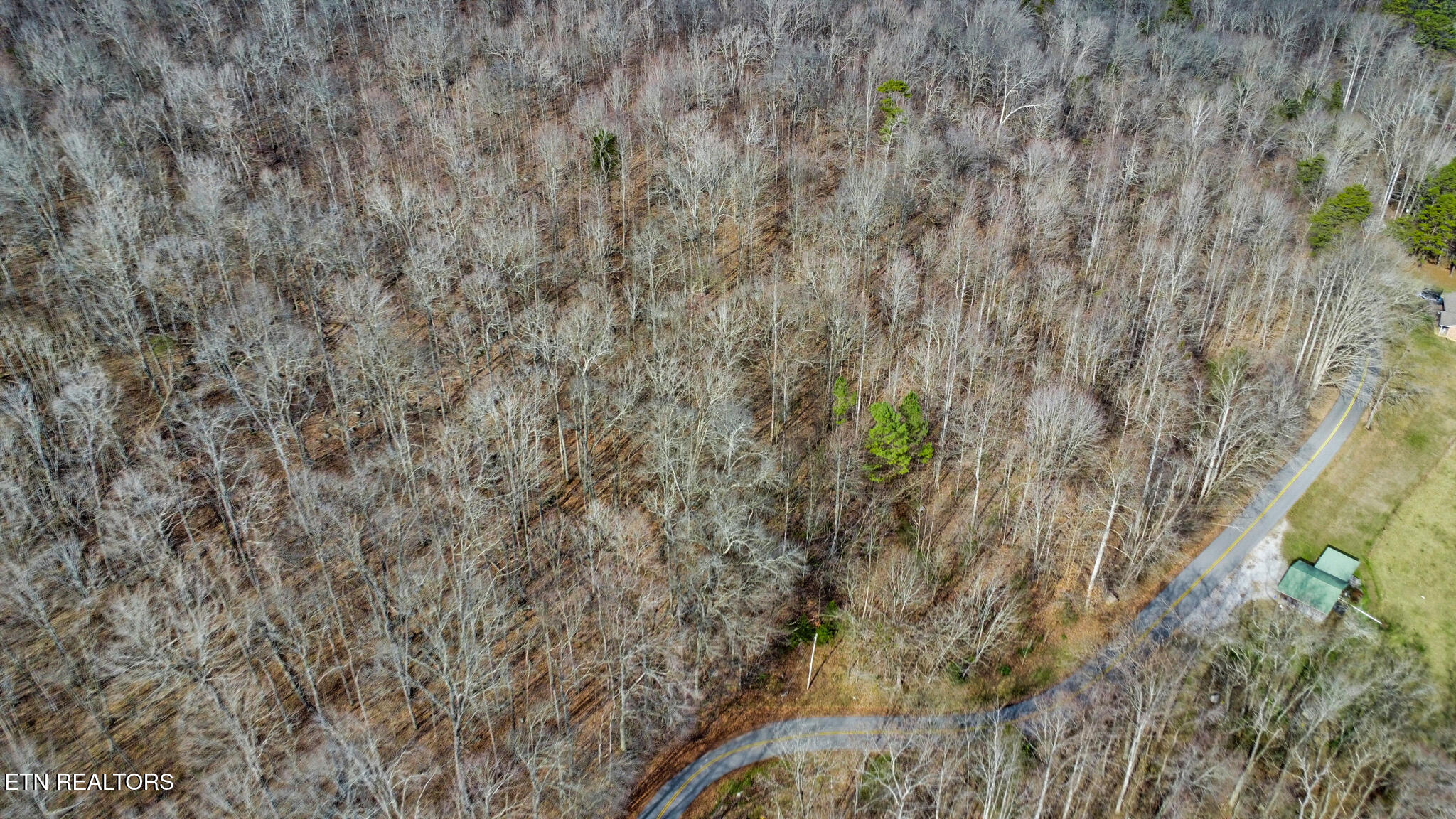 Shellotte Loop Pall Mall, TN 38577 - Photo 14 of 19 dji_0268-dji_0270
