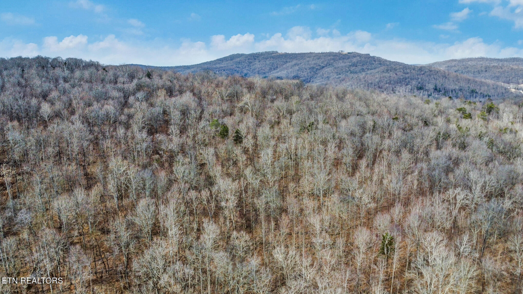 Shellotte Loop Pall Mall, TN 38577 - Photo 15 of 19 dji_0271-dji_0273