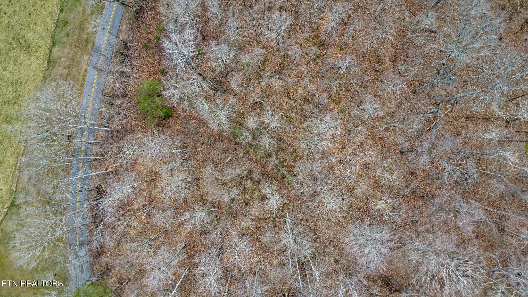 Shellotte Loop Pall Mall, TN 38577 - Photo 16 of 19 dji_0282-dji_0284