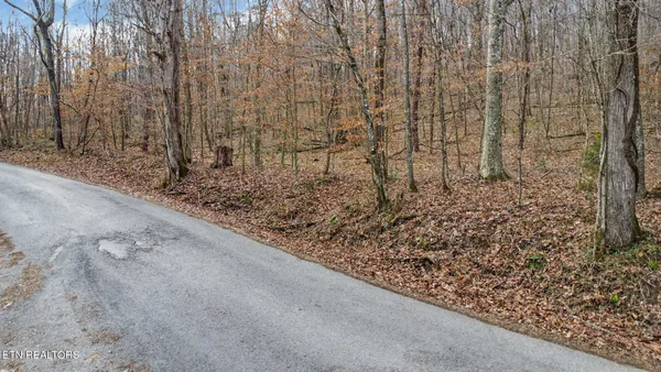 $225,000 | Shellotte Loop, Pall Mall, TN 38577