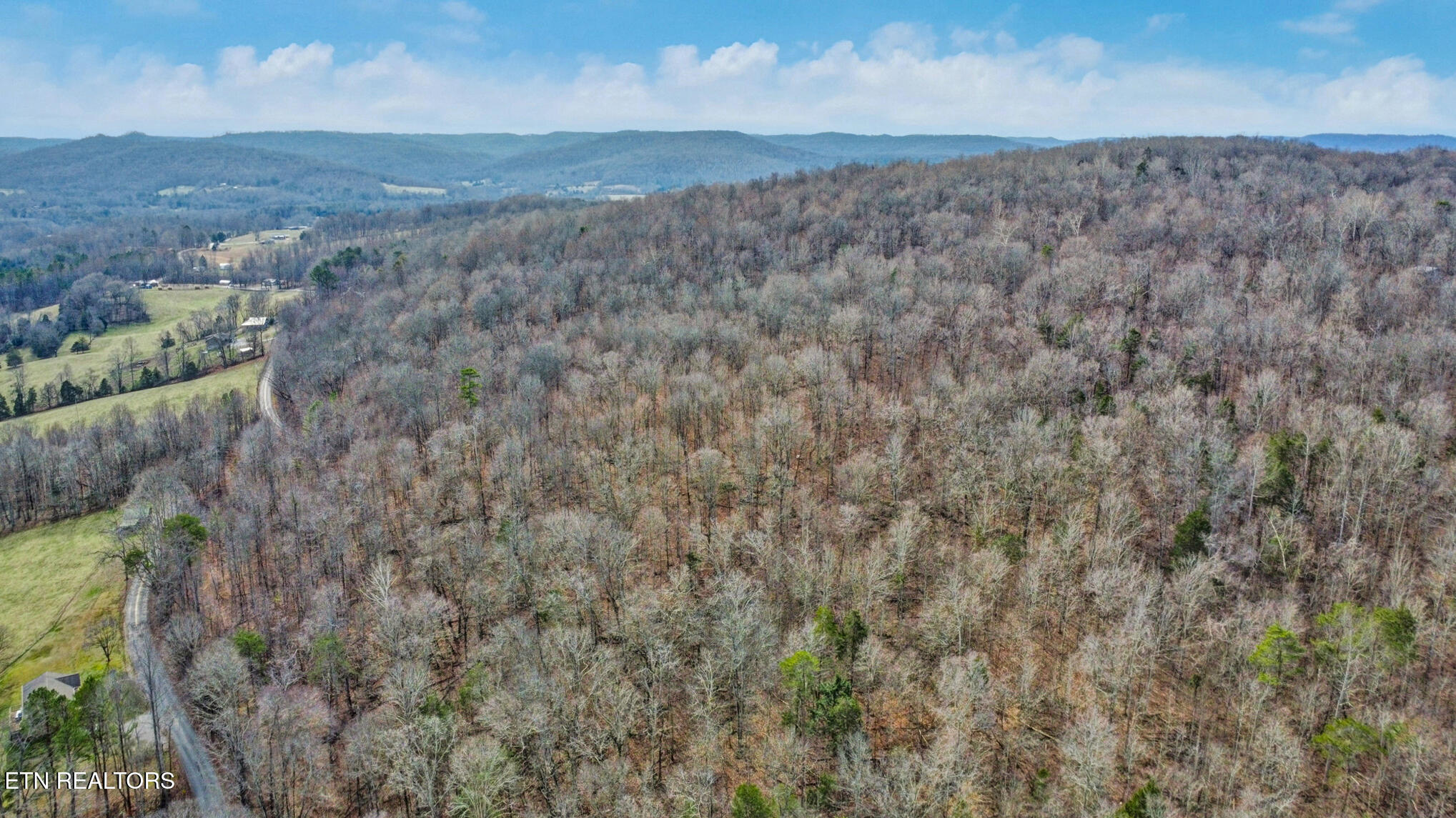 Shellotte Loop Pall Mall, TN 38577 - Photo 2 of 19 dji_0233-dji_0235