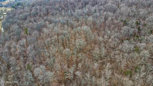 $265,000 | Shellotte Loop, Pall Mall, TN 38577