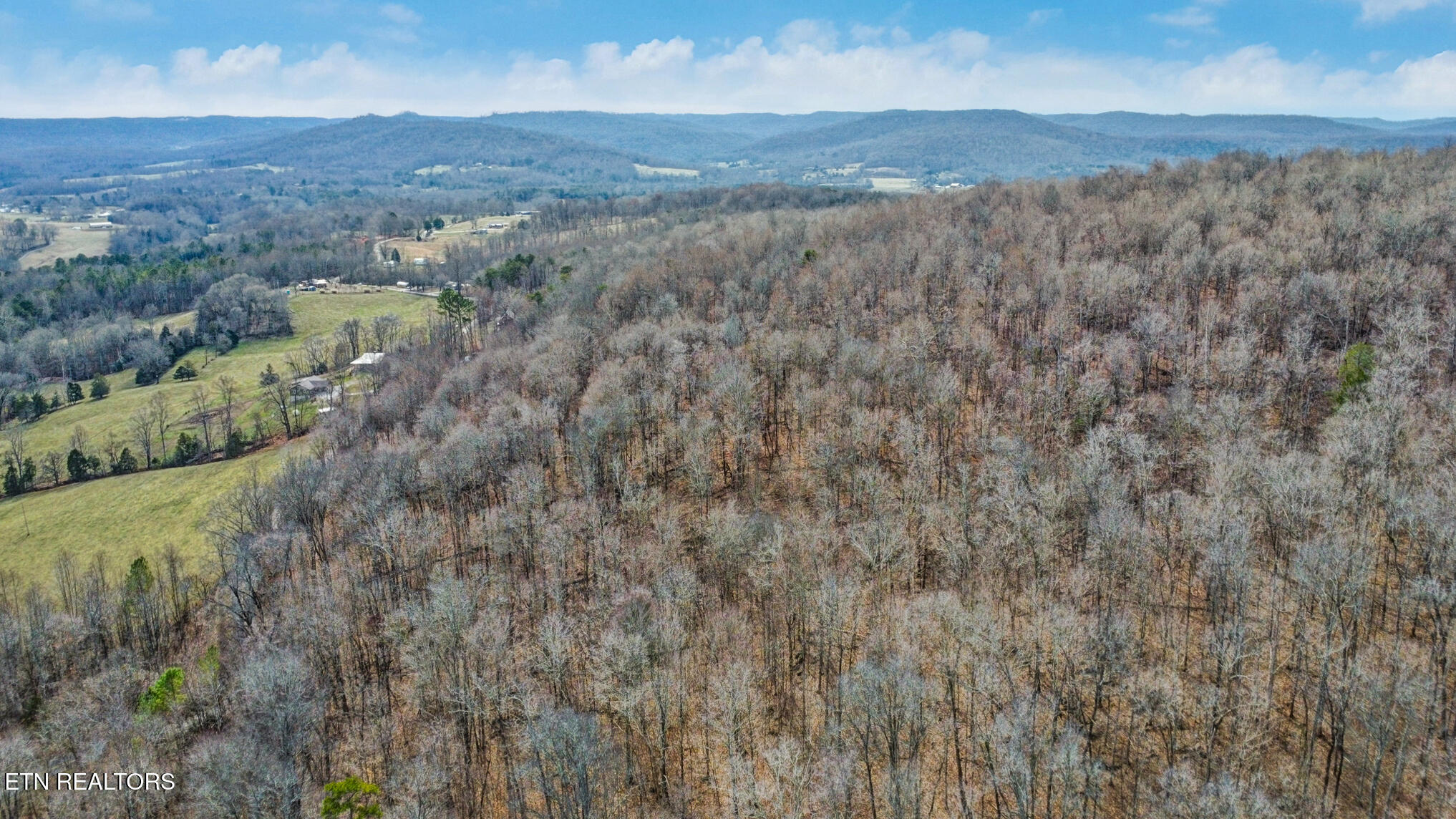 Shellotte Loop Pall Mall, TN 38577 - Photo 6 of 19 dji_0239-dji_0241