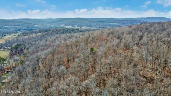 $225,000 | Shellotte Loop, Pall Mall, TN 38577