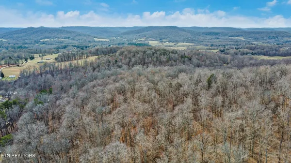$225,000 | Shellotte Loop, Pall Mall, TN 38577