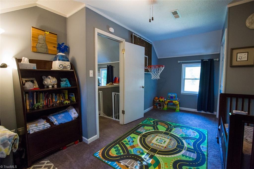 3934 Red Fox Road Trinity, NC 27370 - Photo 20 of 27