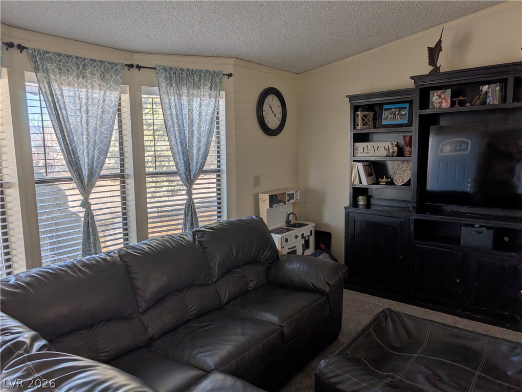 320 6th Street Panaca, NV 89042 - Photo 4 of 31 Carpeted living room featuring a textured ceiling and ornamental molding