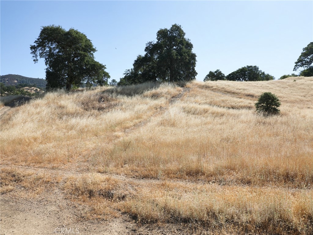 7295 Wilson Street Nice, CA 95464 - Photo 5 of 6 a view of a yard