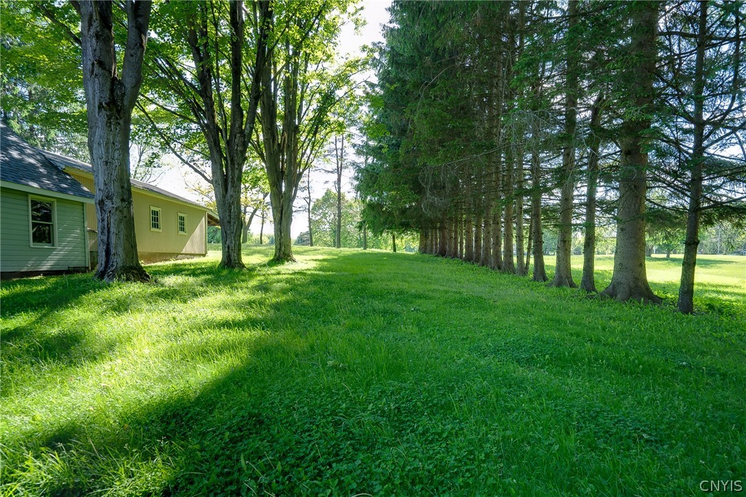 4475 Pompey Center Road Manlius, NY 13104 - Photo 44 of 50 Treed side yard shows the side of the extended gar