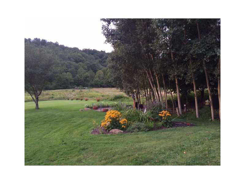 296 Johnetta Road Vandergrift, PA 15690 - Photo 22 of 25 Land.