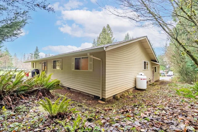 a view of a backyard with plants and large tree
