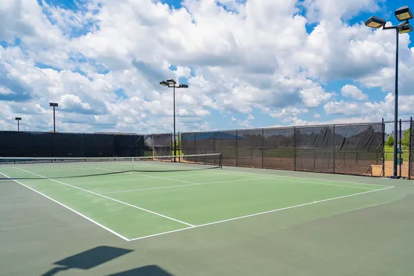 a outdoor view of a garden