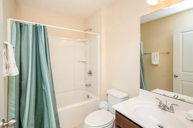 a row of palm trees and swimming pool in the backyard of a house