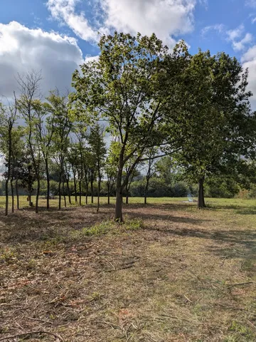 a big yard with trees