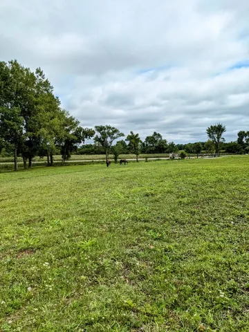 a big yard with lots of green space and plants