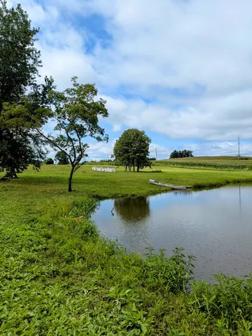 a group of animals grazing on a lush green field