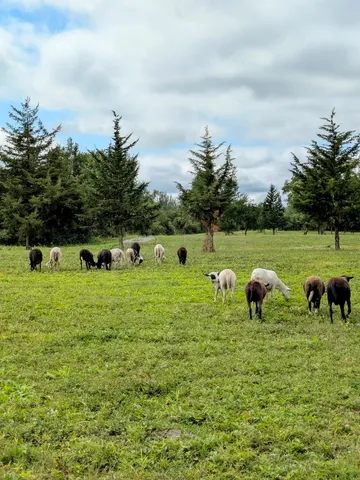 a living room with stainless steel appliances furniture and a kitchen view