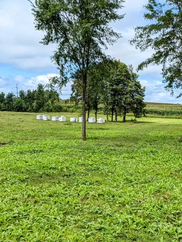 a view of a grassy field with trees