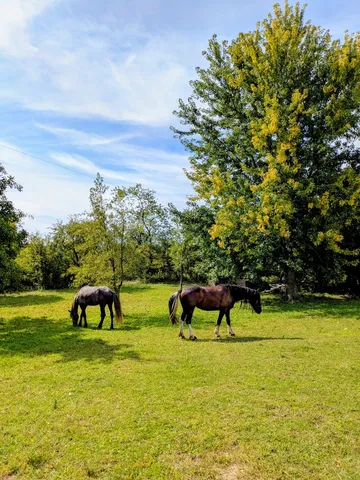 a view of a lake view