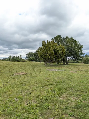a view of a field with an ocean