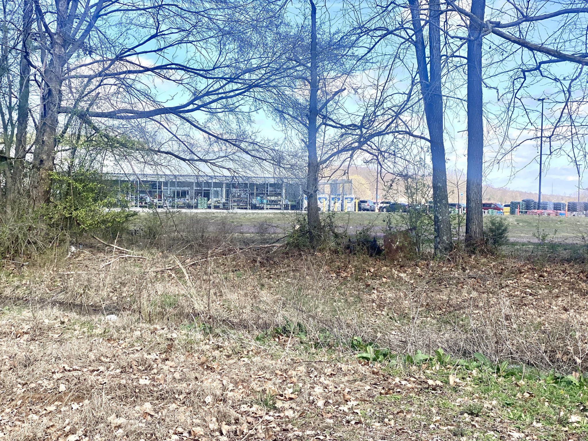 200 Brown Town Road Waverly, TN 37185 - Photo 20 of 27