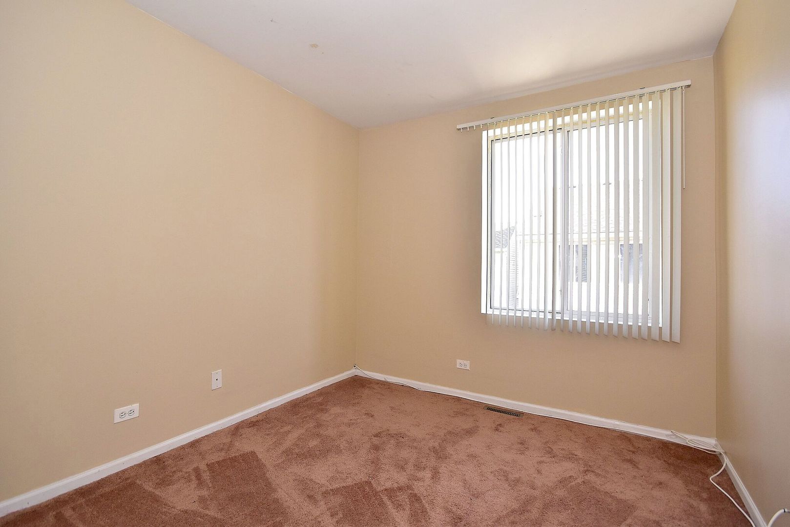 365 Springmist Court, Unit 365 Bolingbrook, IL 60440 - Photo 16 of 34 Gallery Image 16