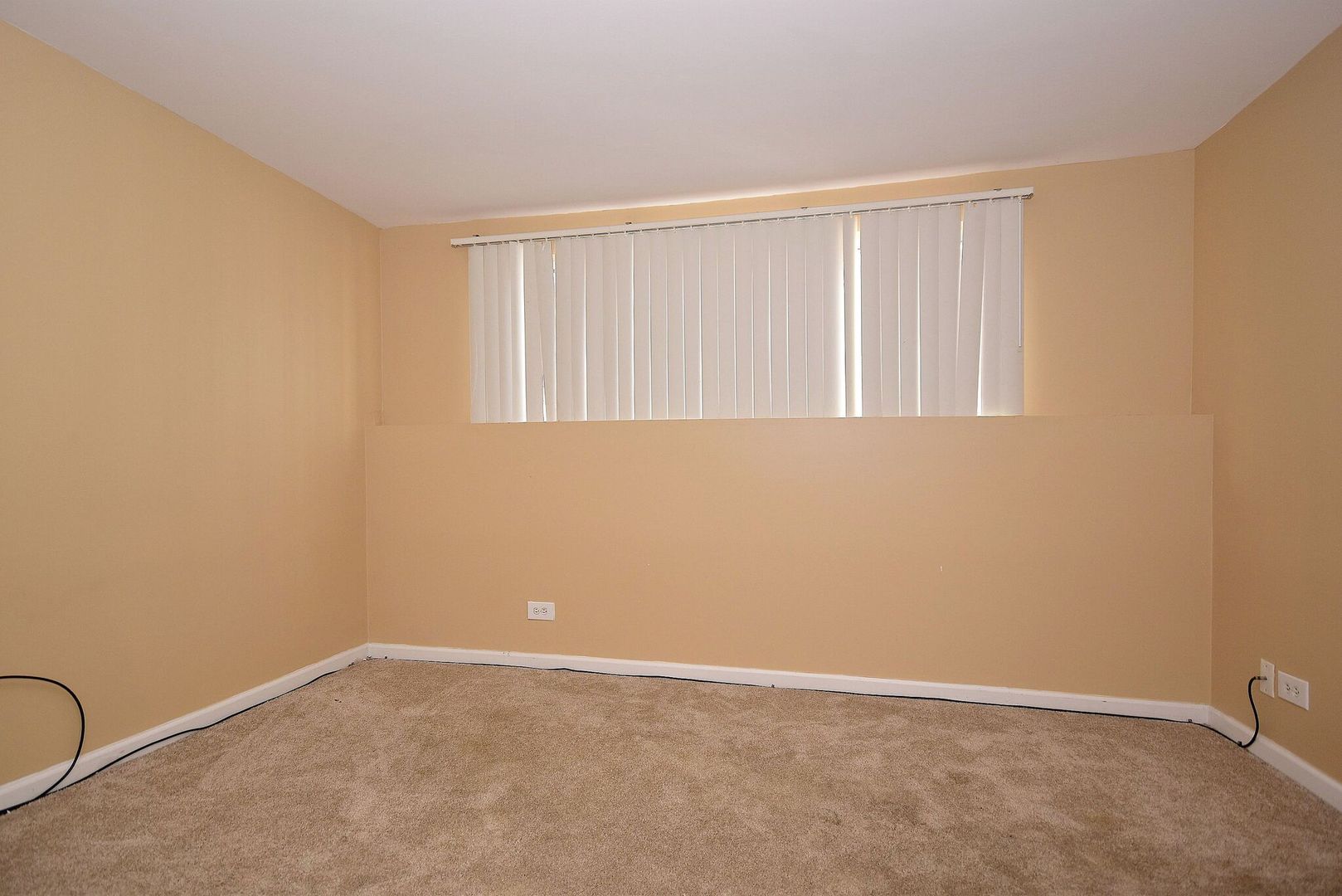 365 Springmist Court, Unit 365 Bolingbrook, IL 60440 - Photo 28 of 34 Gallery Image 28
