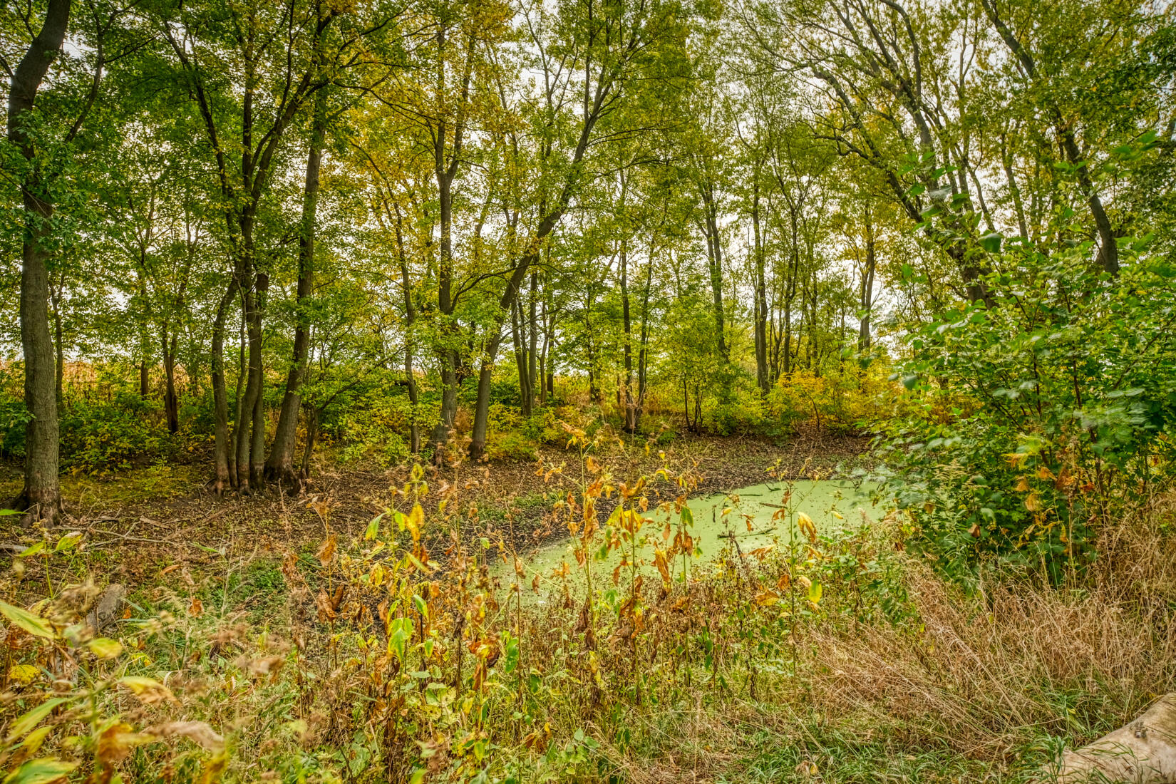 5790 West 700 South Morocco, IN 47963 - Photo 12 of 28 a bathroom with a small yard