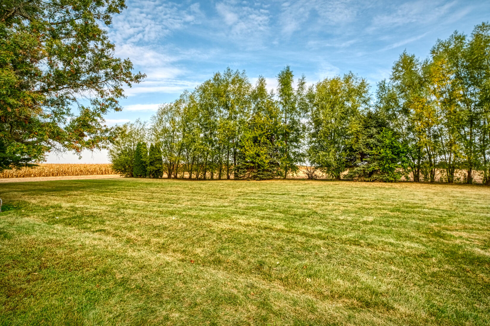5790 West 700 South Morocco, IN 47963 - Photo 13 of 28 a view of yard with large trees