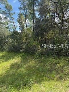 16593 Southwest 31st Circle Ocala, FL 34473 - Photo 2 of 3