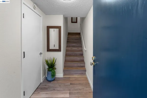 a view of entryway with wooden floor and a potted plant