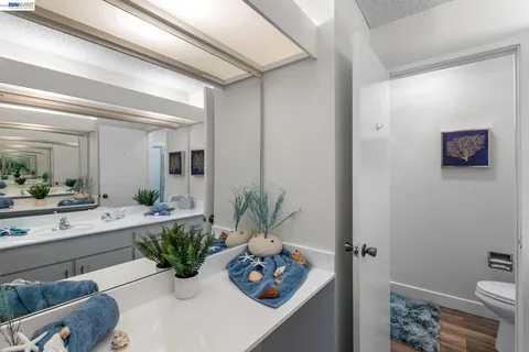 a view of bathroom with a potted plant on the counter and sink