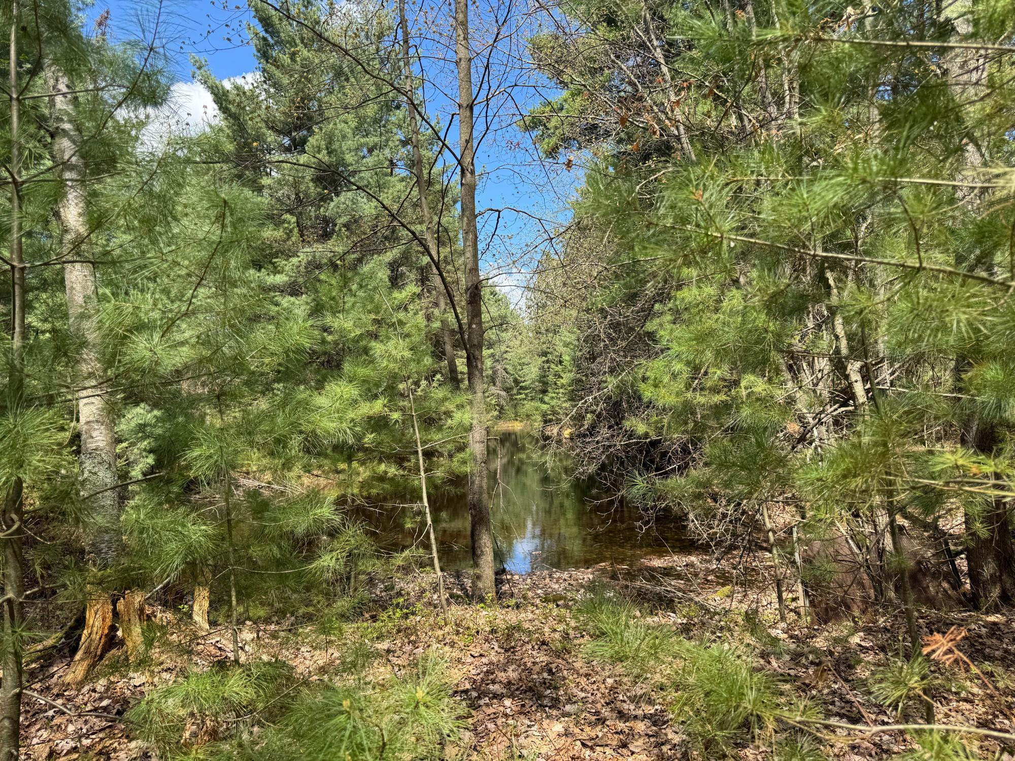 8522 Camp Pinemere Road Minocqua, WI 54548 - Photo 19 of 25 Gallery Image 19