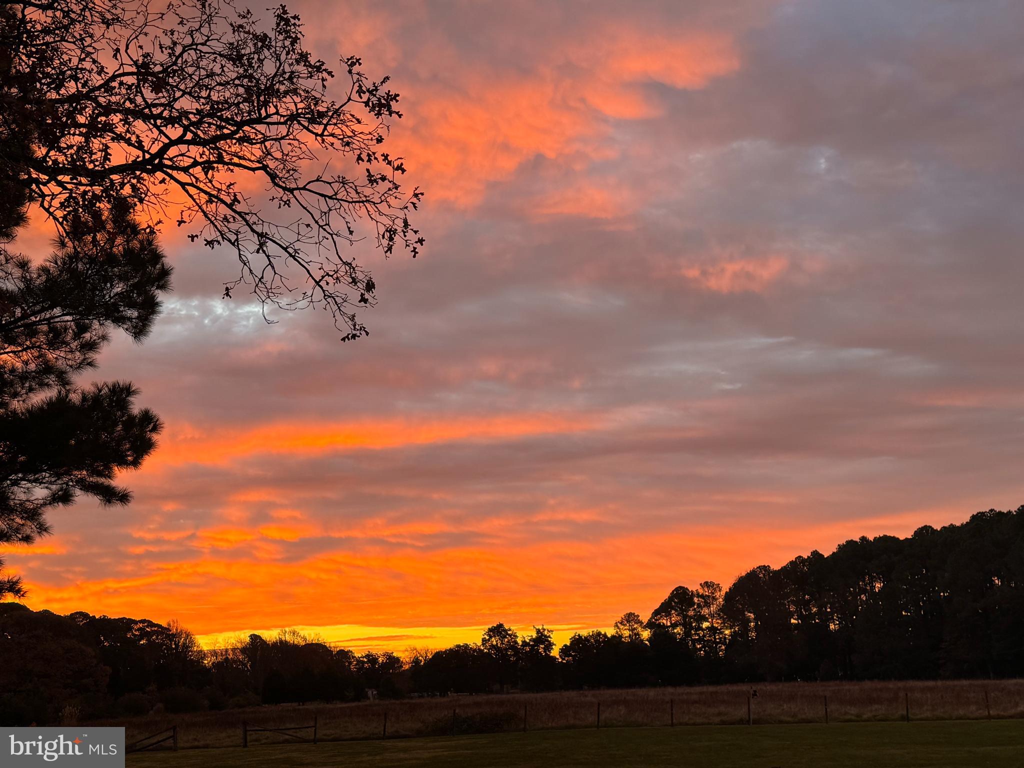 7909 Church Neck Road St. Michaels, MD 21663 - Photo 13 of 22