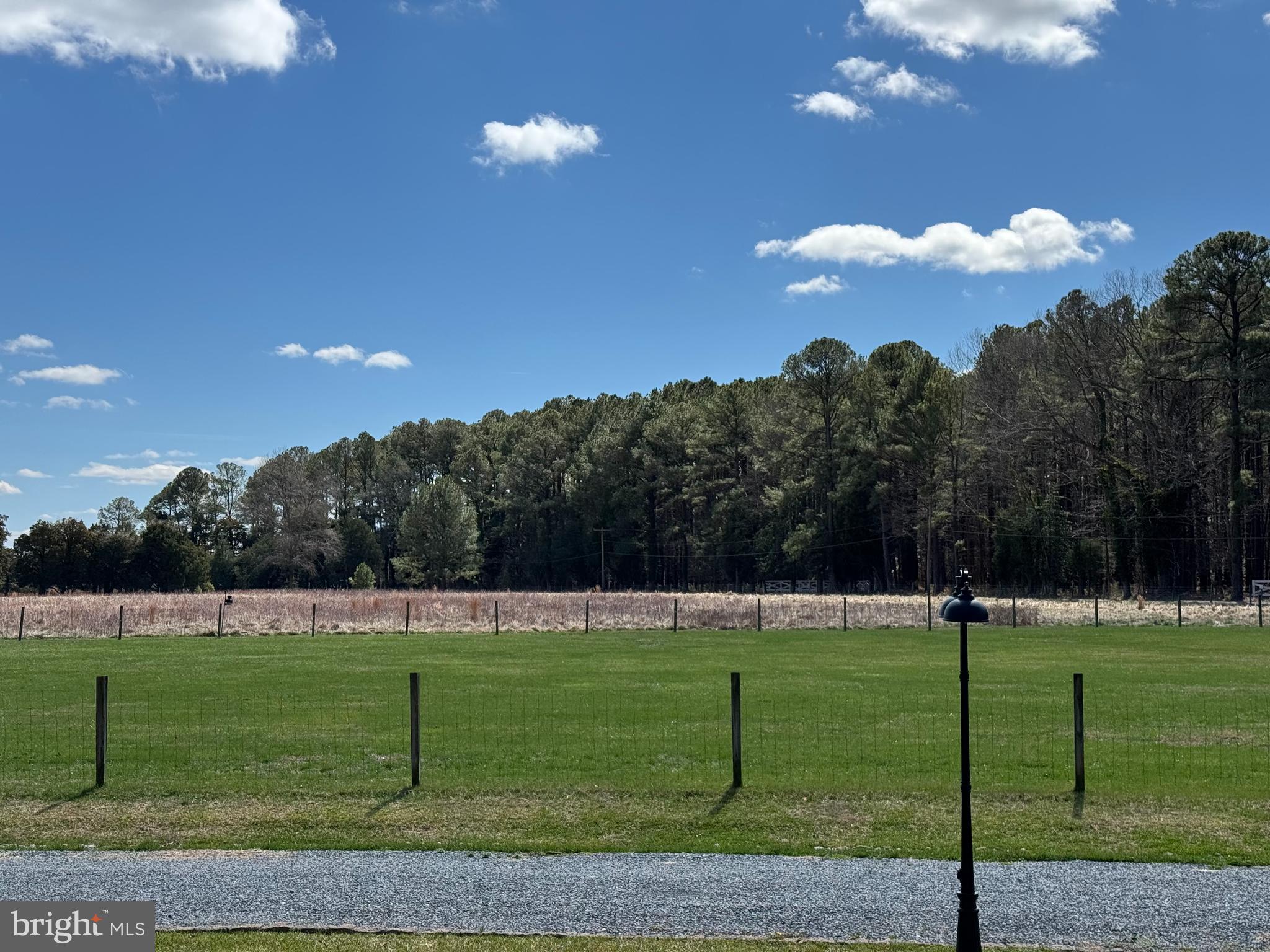 7909 Church Neck Road St. Michaels, MD 21663 - Photo 10 of 22