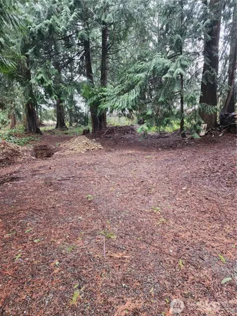 $219,000 | 10115 226th Avenue East, Buckley, WA 98321