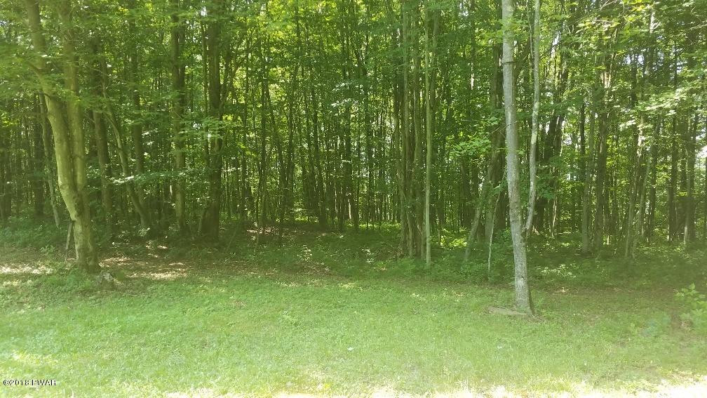 829 King Hill Road Starrucca, PA 18462 - Photo 5 of 20