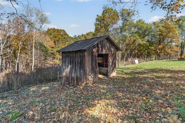 a view of a forest with a tree
