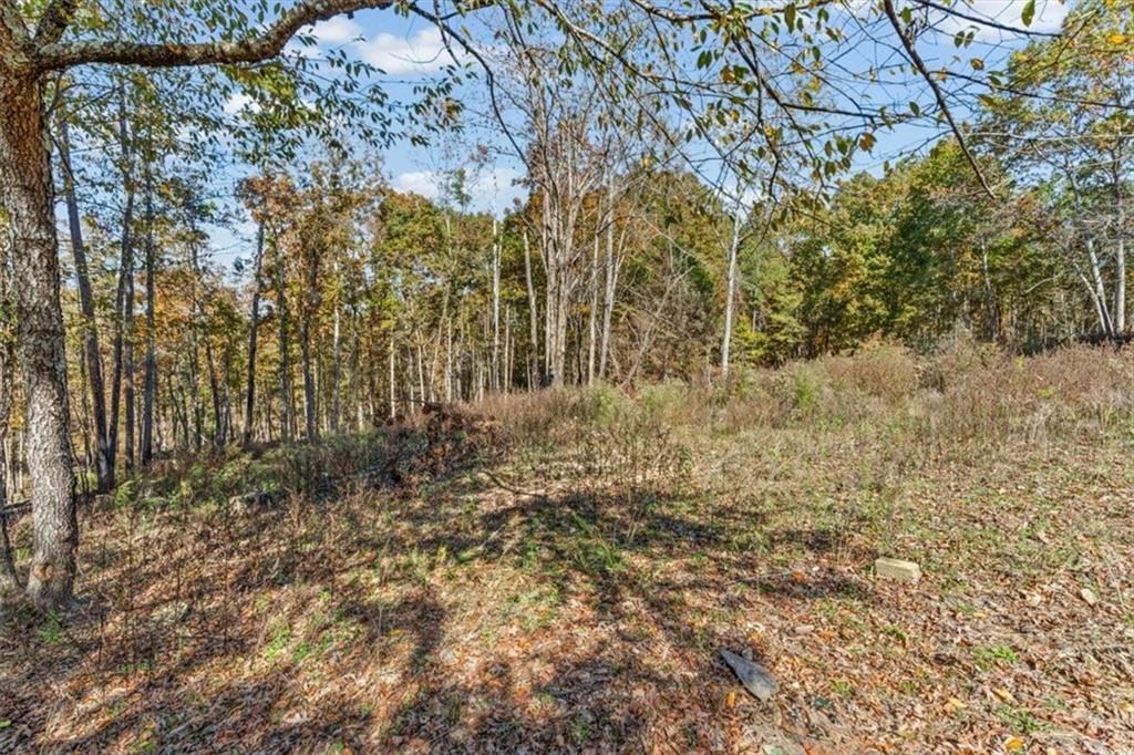 110 Williams Road Southeast Silver Creek, GA 30173 - Photo 49 of 59