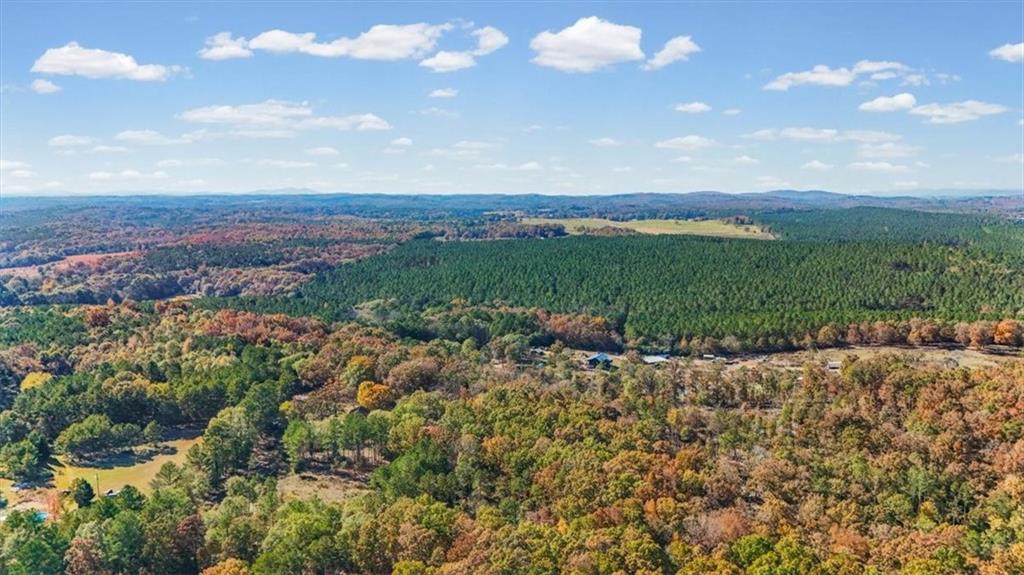 110 Williams Road Southeast Silver Creek, GA 30173 - Photo 55 of 59