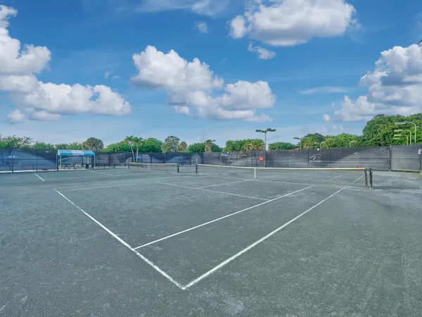 a view of a lake with a large trees