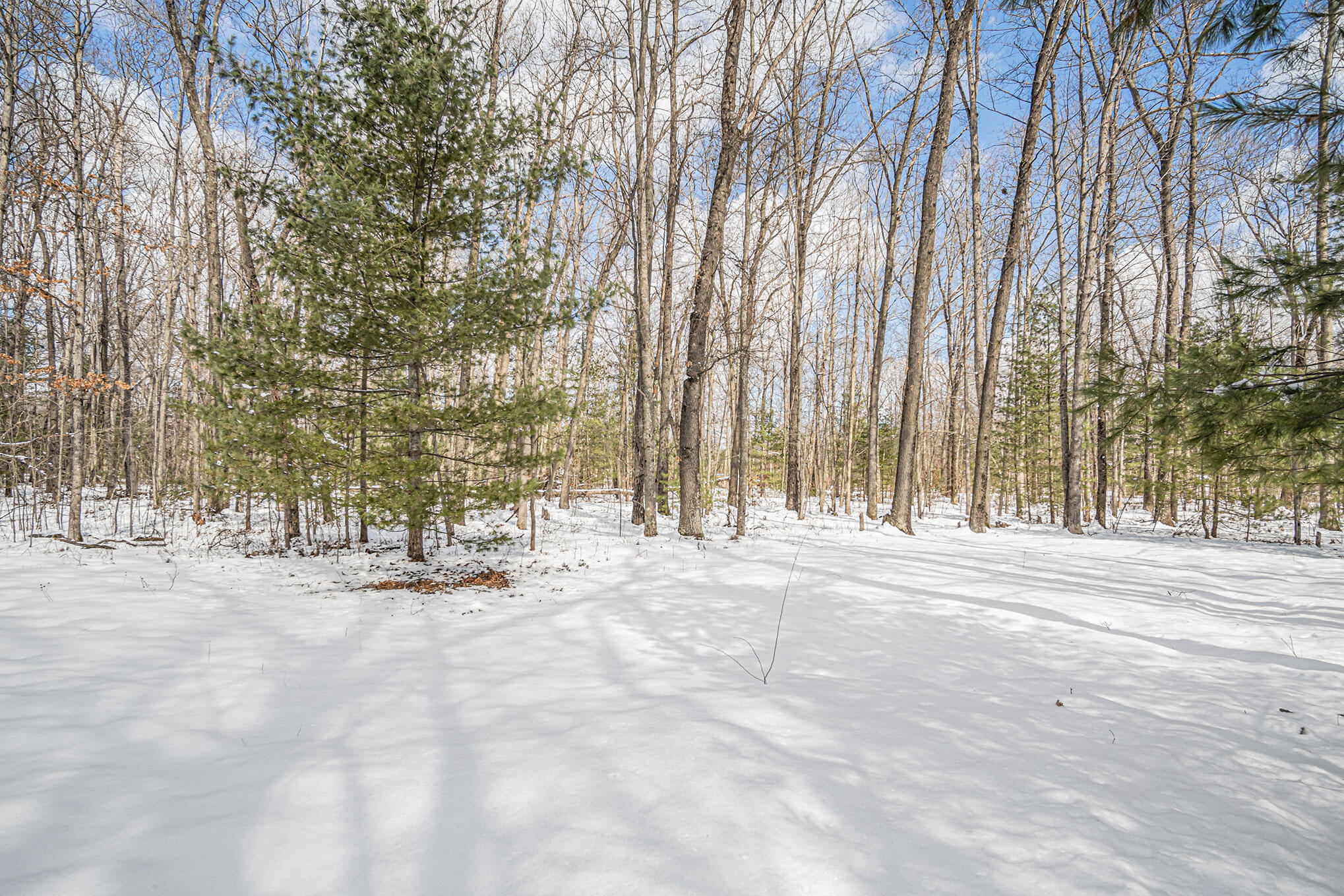 125 Gibson Road Branch, MI 49402 - Photo 19 of 26 DSC08993