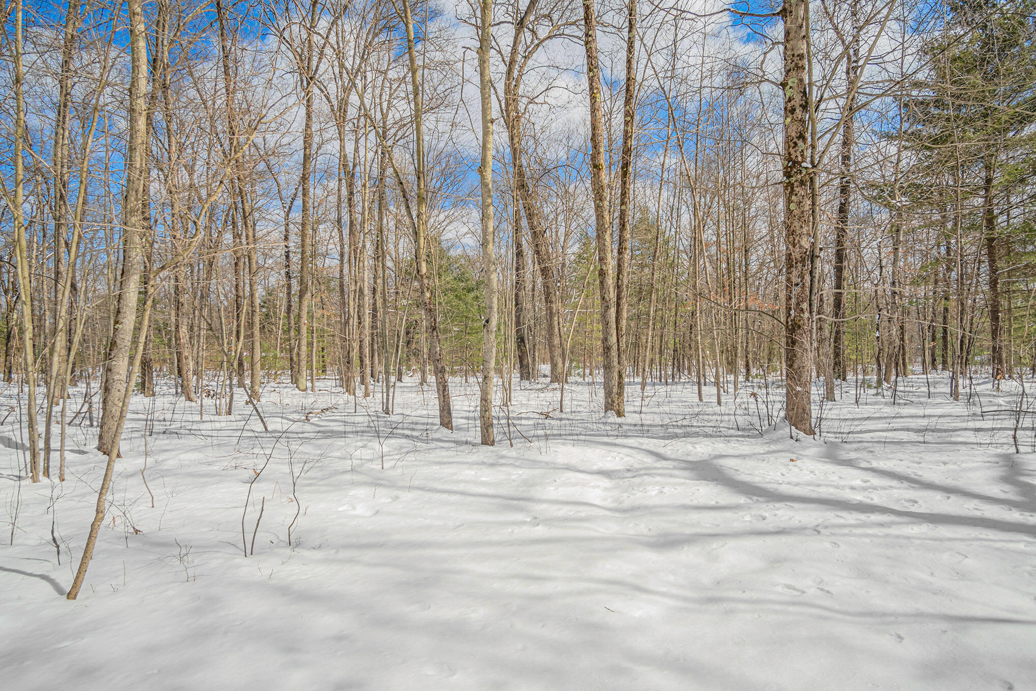 125 Gibson Road Branch, MI 49402 - Photo 22 of 26 DSC09002