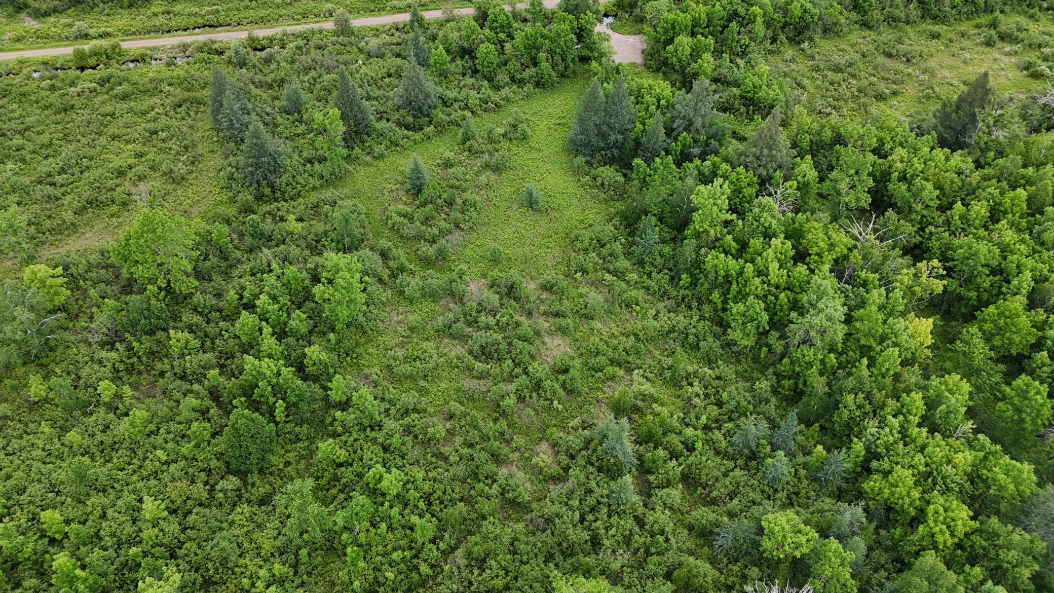 11840 Rice Haven Road Floodwood, MN 55736 - Photo 5 of 27