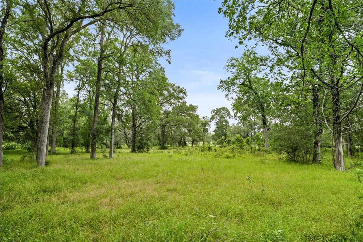8413 Mach Road La Grange, TX 78945 - Photo 17 of 40