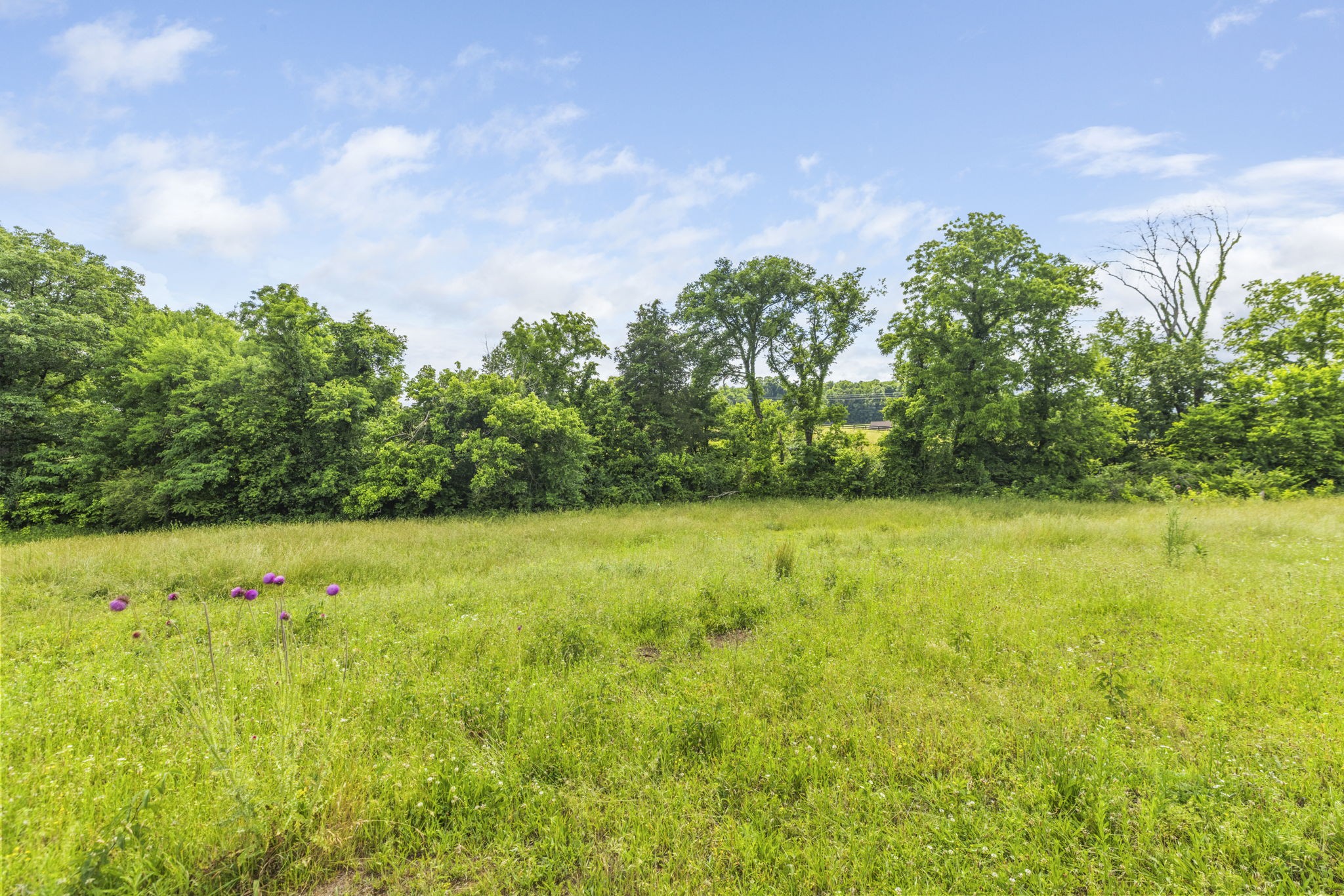 0 Darks Mill Road Columbia, TN 38401 - Photo 7 of 32