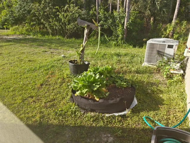 $2,150 | 872 Reading Street Southeast, Palm Bay, FL 32909